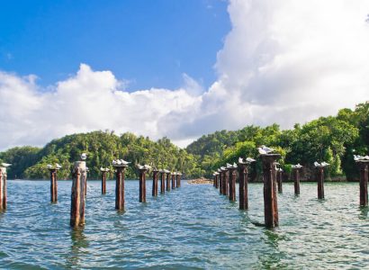 Sekelompok tiang kayu Los Haiti berdiri tegak di atas air, dihiasi burung-burung anggun.