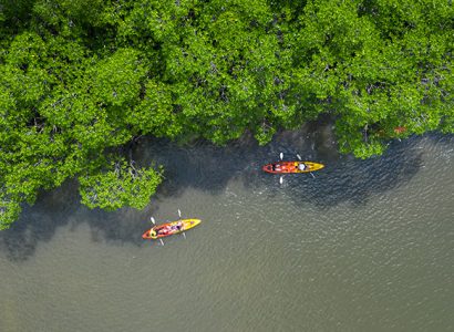 Kayaking_Manglares-724x426