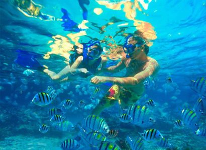 catalina-island-snorkeling-saona-dreams-dominic-republic-էքսկուրսիա