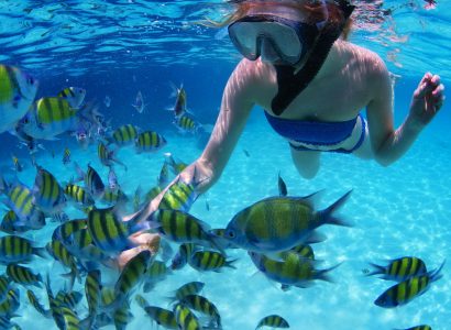 25576416 - jovem mergulhando e alimentando peixes em um mar tropical