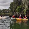 Los Haitises Excursion Kayak Tour in Kayaks los haitises cano hondo 10 scaled