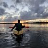 Los Haitises Ausflug Kajak Tour in Kajaks los haitises cano hondo 24 skaliert