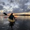 Los Haitises Ausflug Kajak Tour in Kajaks los haitises cano hondo 26 skaliert