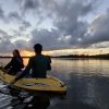 Los Haitises Excursion Kayak Tour in Kayaks los haitises cano hondo 27 scaled