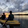 Los Haitises Excursion Kayak Tour in Kayaks los haitises cano hondo 28 scaled