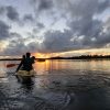 Los Haitises Ausflug Kajak Tour in Kajaks los haitises cano hondo 29 skaliert