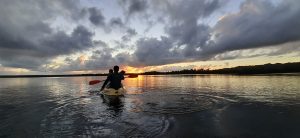 Los Haitises Excursion Kayak Tour in Kayaks los haitises cano hondo 29 scaled