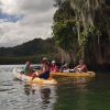 Los Haitises Ausflug Kajak Tour in Kajaks los haitises cano hondo 5 skaliert