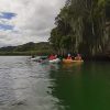 Los Haitises Ausflug Kajak Tour in Kajaks los haitises cano hondo 8 skaliert