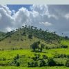 Punta Cana: Higuey, Coffee and Cocoa Tasting Tour with Lunch – Image 21